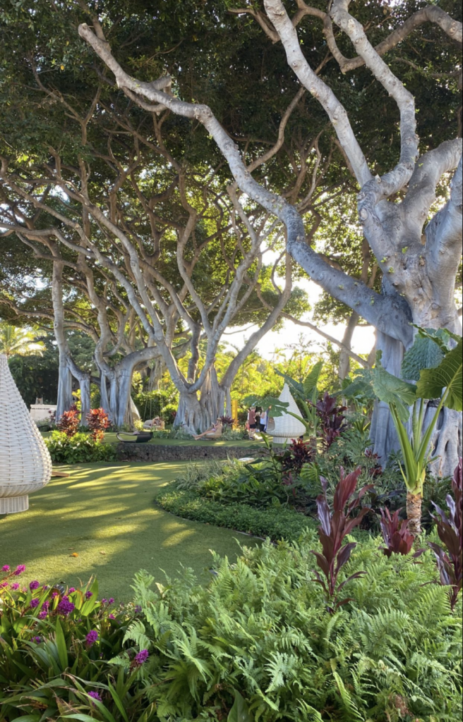 Fashion Winds—Wailea Beach Resort