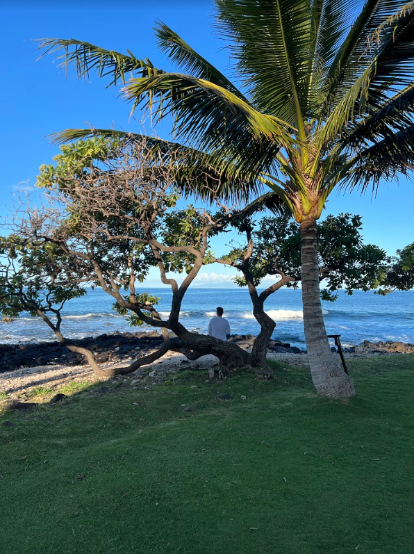 Fashion Winds | Maui
